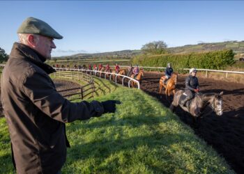 Willie Mullins puts forward four horses to go up against unbeaten ‘Honeysuckle’ in the Fairyhouse baroneracing.com Winter Festival