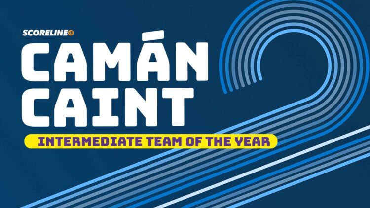 Camán Caint: Kilkenny Intermediate Team of the Year
