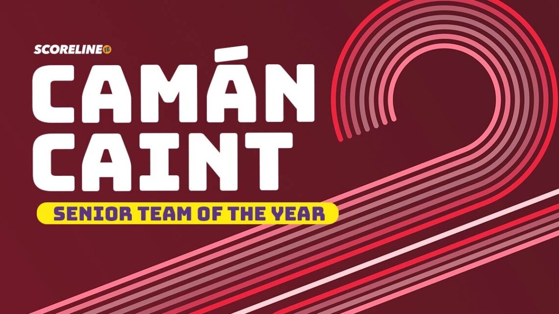 Camán Caint: Kilkenny Senior Team of the Year