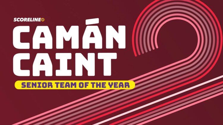Camán Caint: Kilkenny Senior Team of the Year