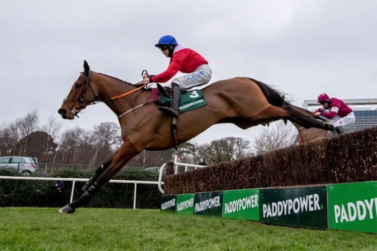 Rachael Blackmore on board Envoi Allen. Photo: Morgan Treacy/Inpho