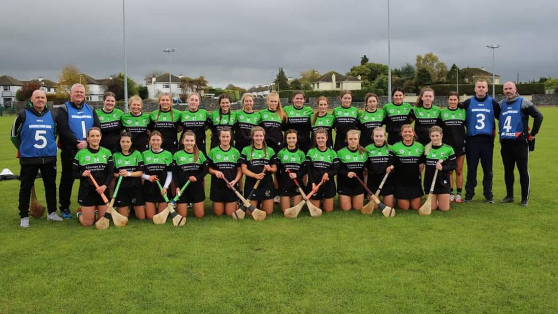 Four Kilkenny and Carlow clubs bidding for Leinster camogie glory this weekend at junior, intermediate and senior grade