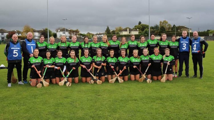 Four Kilkenny and Carlow clubs bidding for Leinster camogie glory this weekend at junior, intermediate and senior grade