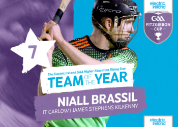 IT Carlow’s Niall Brassil and Podge Delaney named on Higher Education ‘Hurling Team of the Year’