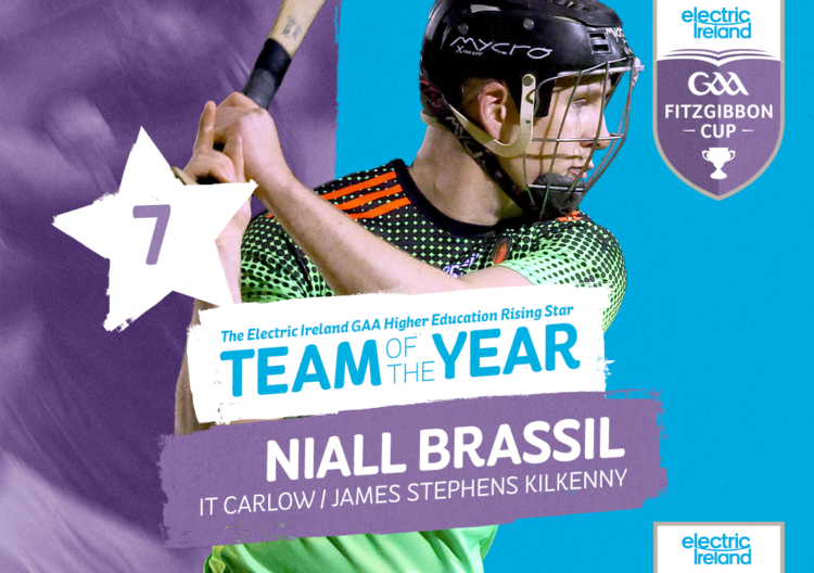 IT Carlow’s Niall Brassil and Podge Delaney named on Higher Education ‘Hurling Team of the Year’