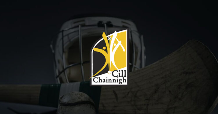 Kilkenny hurling 3