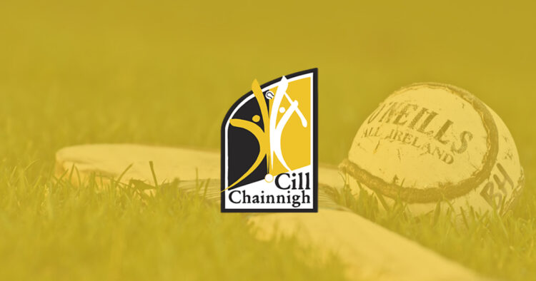 Kilkenny hurling 4