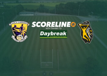 Wexford v Kilkenny camogie