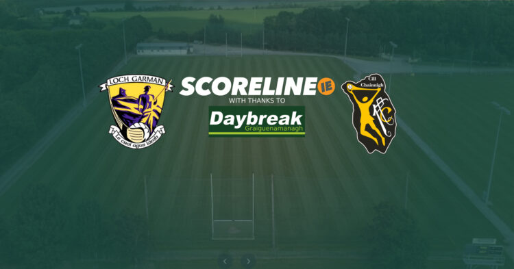 Wexford v Kilkenny camogie