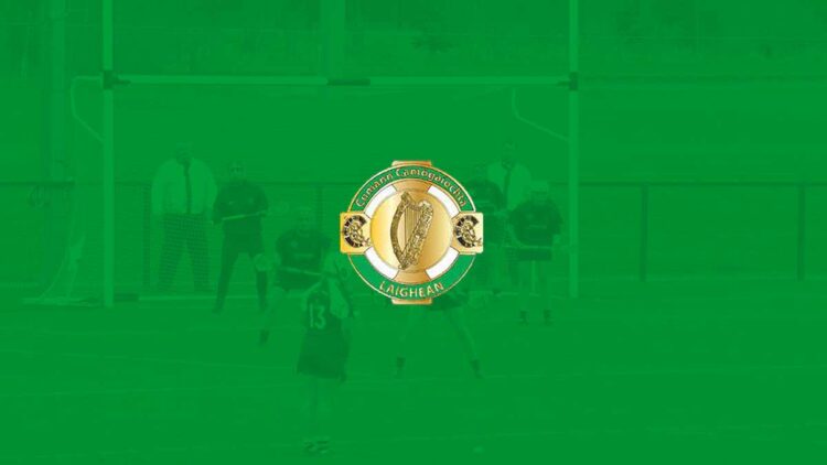 Leinster Camogie