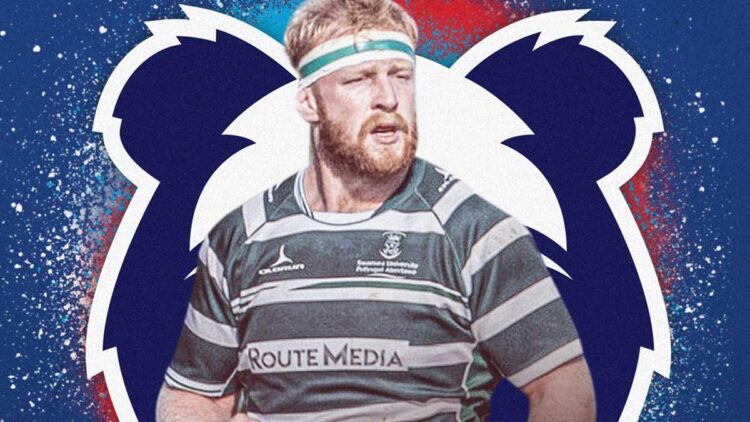 Martin Mulhall, Bristol Bears