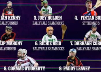 Five places for Ballyhale Shamrocks on AIB GAA Hurling Team of the Year as Hutchinson takes player award