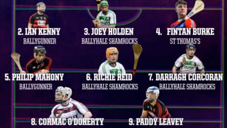 Five places for Ballyhale Shamrocks on AIB GAA Hurling Team of the Year as Hutchinson takes player award