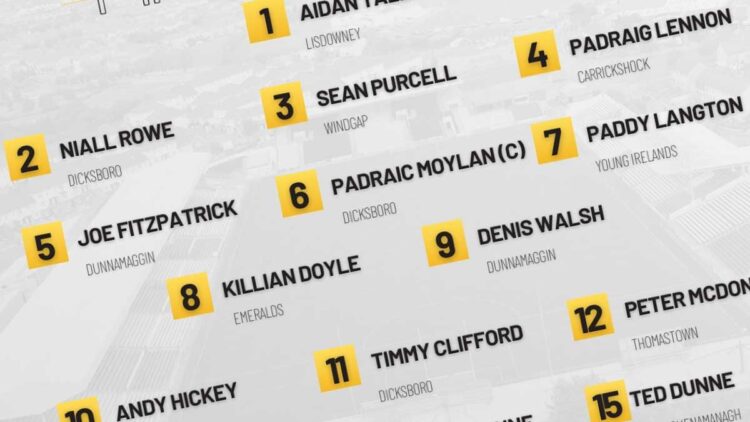 No time to Shine: Harry misses out as Kilkenny U20 team to face Wexford is named
