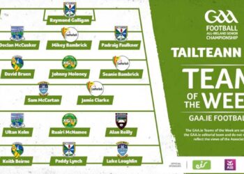 GAA.ie Tailteann Cup team of the week 30 May 2022