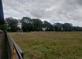 A sad sight to behold: Buckley Park a shadow of its former self following years of lying idle
