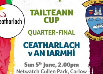 “We will be flying and raring” – Sean Bambrick itching for Carlows clash with Westmeath