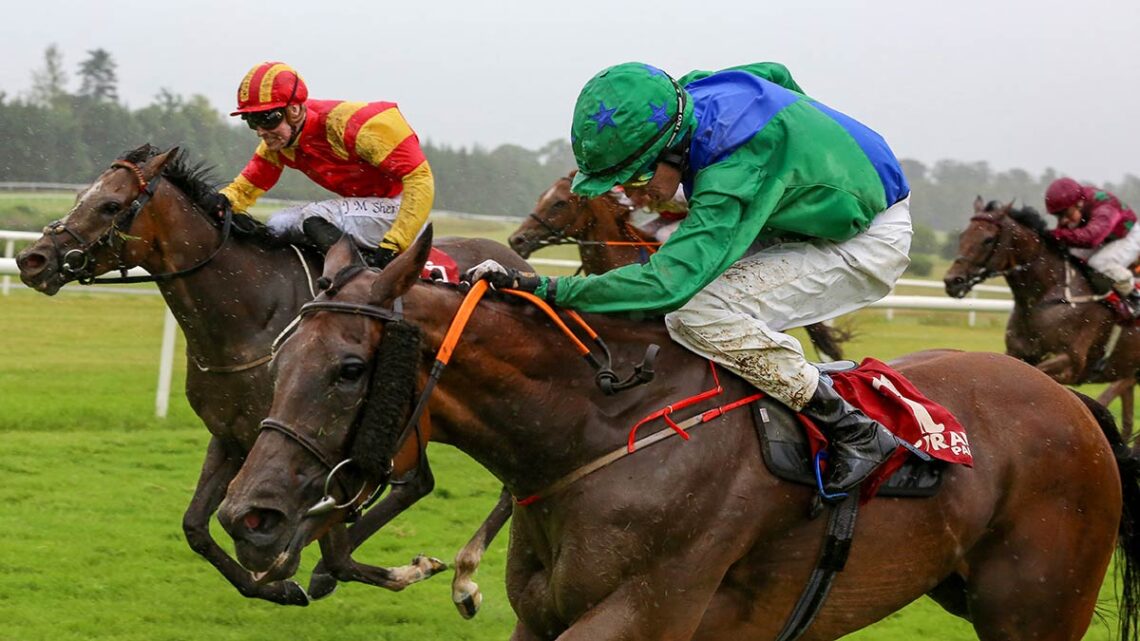 Philly's Hope and James Ryan winning the "Tote Handicap Div 2" at Gowran Park. Photo: Alain Barr