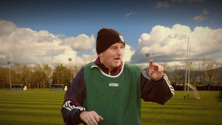 St. Mullins manager Maurice Alyward calls for changes to organisation of Carlow hurling league