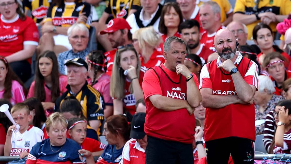 Cork selector Davy Fitzgerald and manager Matthew Twomey Photo: ©INPHO/James Crombie