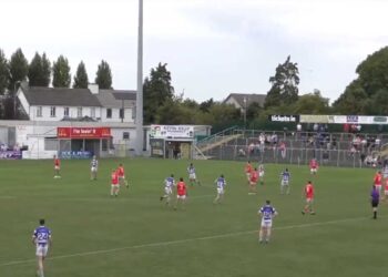 Tinryland v Eire Og. Screengrab: @theleftwingback/Twitter