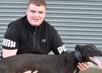 Kilkenny trainer books his spot in the final 6 for the BoyleSports Irish Greyhound Derby 2022