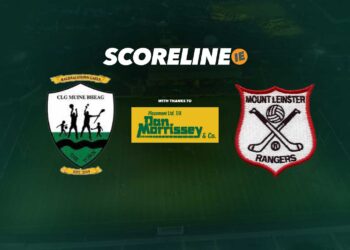 Bagenalstown Gaels v Mount Leinster Rangers