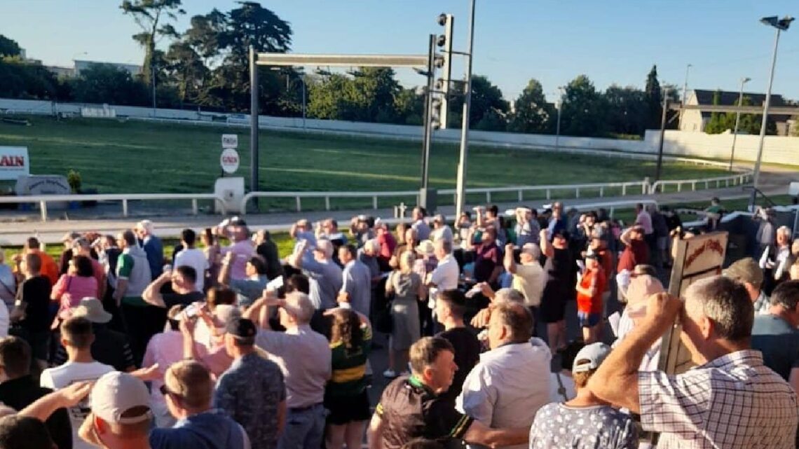 Kilkenny greyhound stadium welcomes a “Born Warrior”