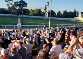 Kilkenny greyhound stadium welcomes a “Born Warrior”