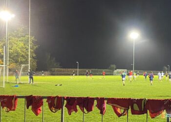 “It just means too much to the community” Palatine chairperson Nickey Parle rallies the club ahead of Leinster clash