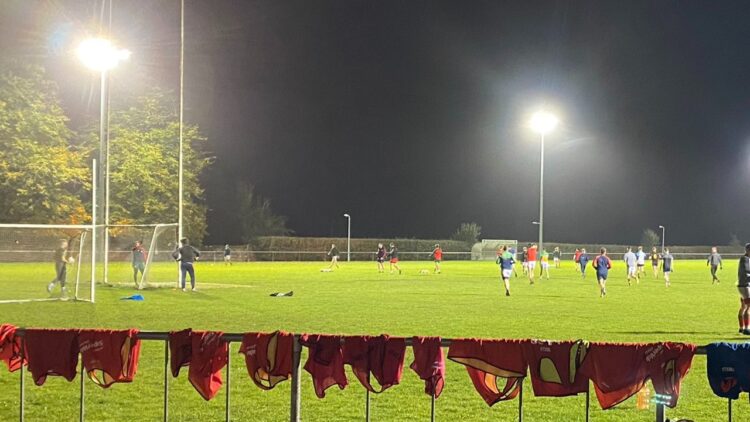 “It just means too much to the community” Palatine chairperson Nickey Parle rallies the club ahead of Leinster clash