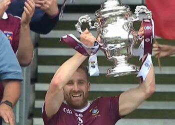 No Carlow player’s named in the Tailteann Cup Team of the Year.