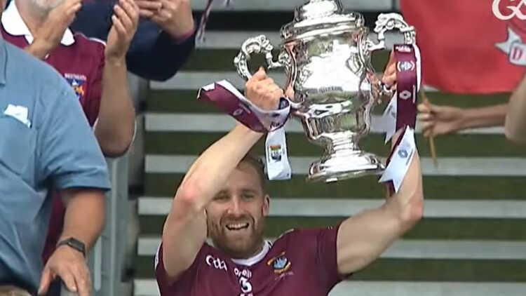 No Carlow player’s named in the Tailteann Cup Team of the Year.