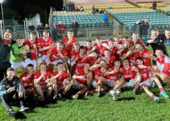 Éire Óg, Division 1A minor football champions in Carlow for 2022. Photo: Éire Óg Gaa Club/Facebook