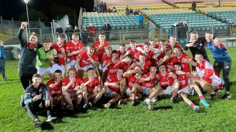 Éire Óg, Division 1A minor football champions in Carlow for 2022. Photo: Éire Óg Gaa Club/Facebook