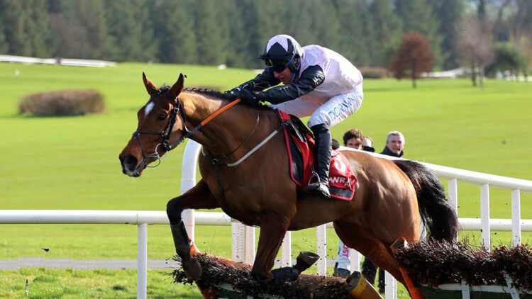 Teahupoo and Robbie Power jumping the last to win the "Red Mills Hurdle" at Gowran Park - Alain Barr - 19.02.2022