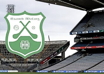 “I put a lot of blame on ourselves” – St. Mullins manager Maurice Alyward puts focus on his own team’s mistakes after semi-final loss