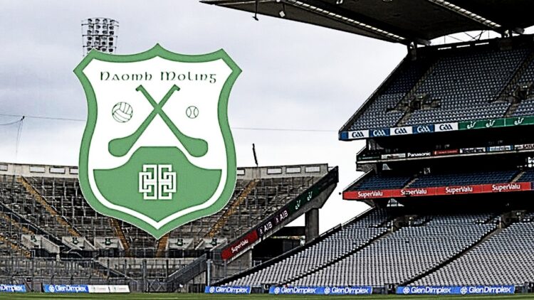 “I put a lot of blame on ourselves” – St. Mullins manager Maurice Alyward puts focus on his own team’s mistakes after semi-final loss