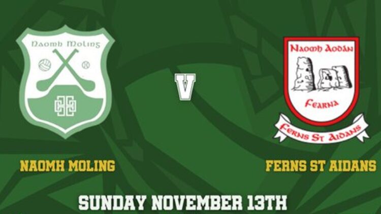 The wait is nearly over: St. Mullins clash with Ferns this Sunday on KCLR