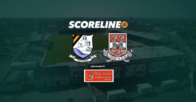Live commentary: Danesfort v Trim, Leinster intermediate hurling championship quarter-final