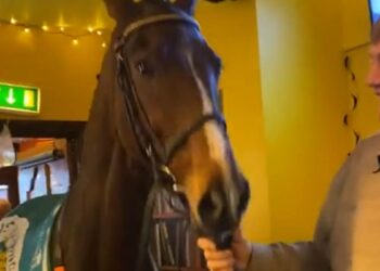 Hewick and trainer John 'Shark' Hanlon