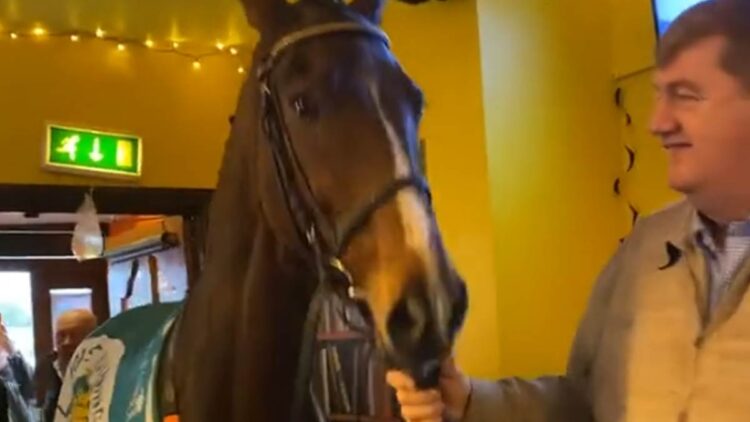 Hewick and trainer John 'Shark' Hanlon