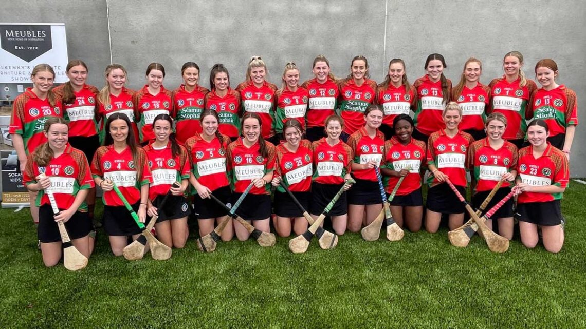 James Stephens Camogie Club. Photo: James Stephens GAA/Facebook