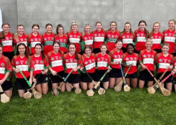 James Stephens Camogie Club. Photo: James Stephens GAA/Facebook