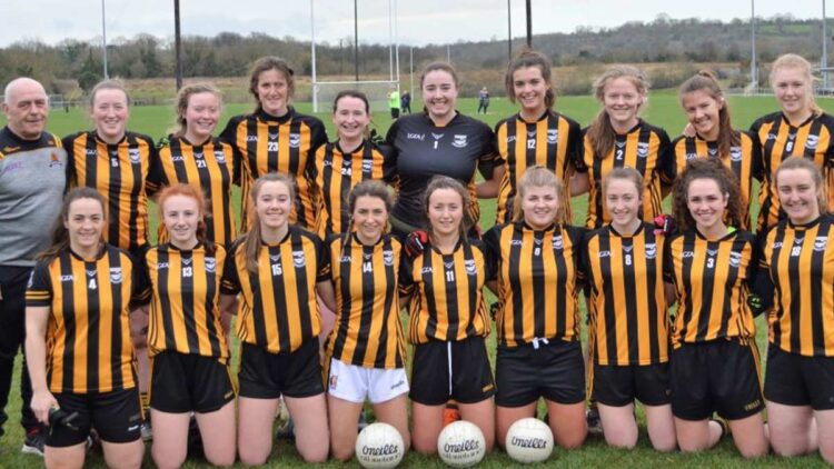 The Kilkenny ladies Gaelic football team pictured in 2019. Photo: KilkennyLadiesGaelic.ie