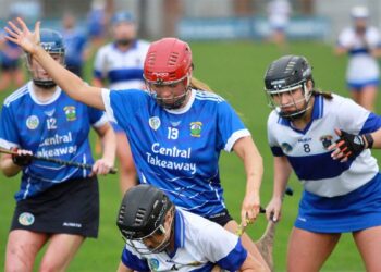 Thomastown v St. Vincent's. Photo: Paul Doyle