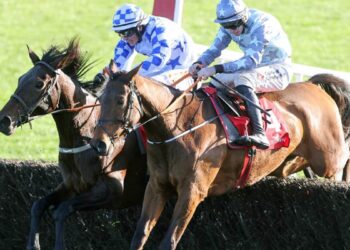 Darrens Hope (Left) and Minella Crooner (Right)