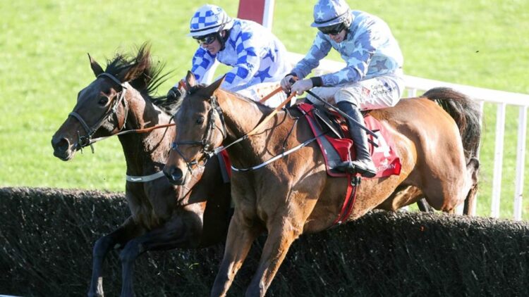 Darrens Hope (Left) and Minella Crooner (Right)