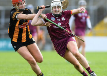 Tribeswomen clip claws of kittens in Very National Camogie League