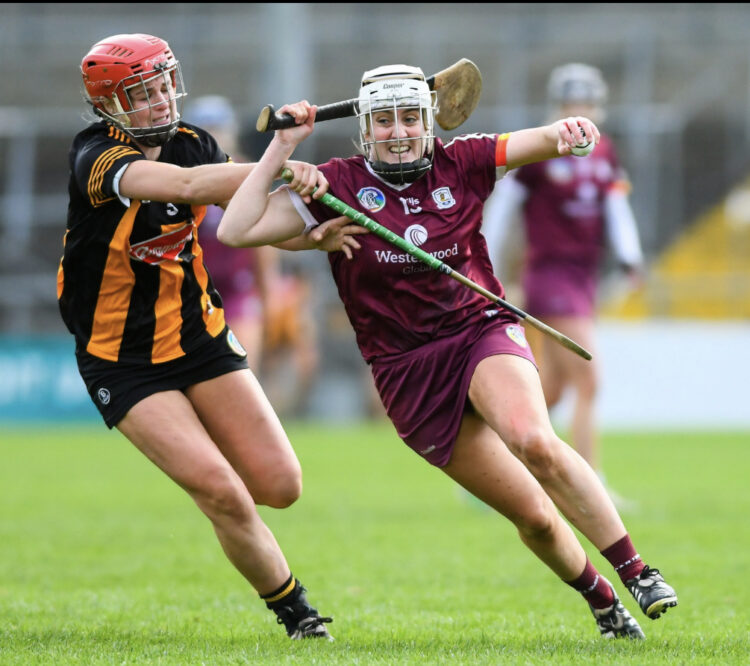 Tribeswomen clip claws of kittens in Very National Camogie League